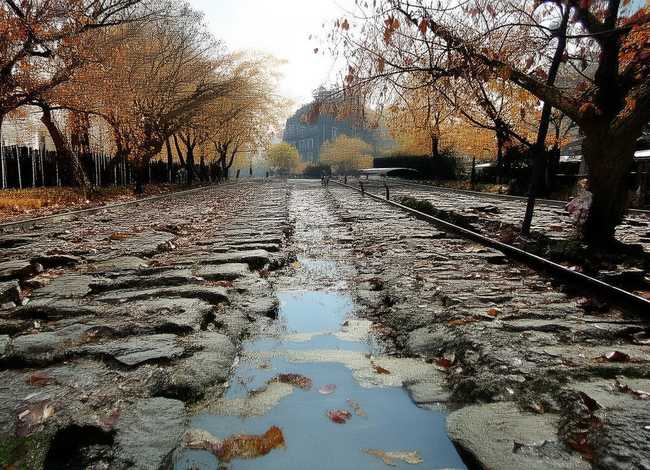 宜章夜故事节目单 郴州的文化 宜章夜故事节目单 郴州的文化