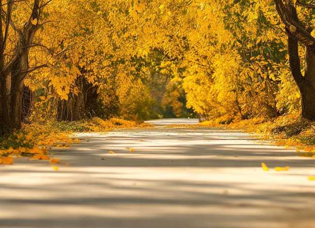 儿童哲理故事带拼音大全集 - 铺满金色巴掌的水泥道带拼音课文