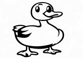 黑白儿童画图片大全 - 黑白卡通小鸭子简笔画画法图片步骤