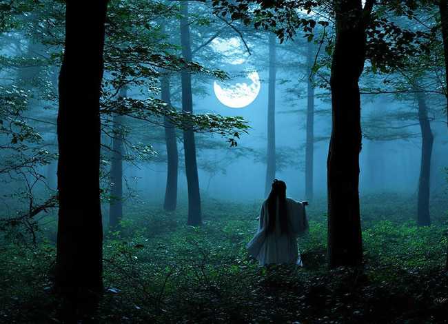 草木皆兵的故事和寓意；神出鬼没的历史故事