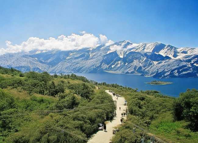 小翅膀故事 - 童话故事小鸟一生的做文300字 小翅膀故事 - 童话故事小鸟一生的做文300字