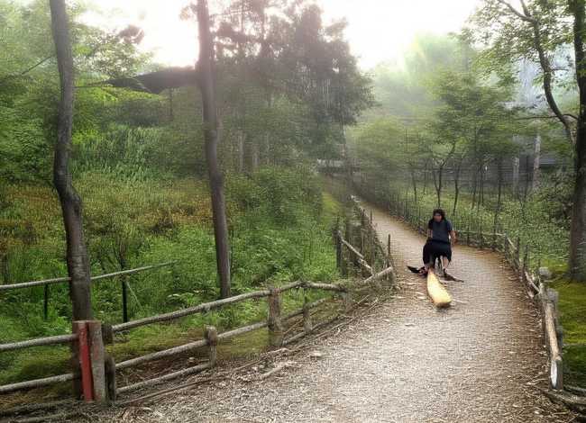 关于乡村的四字词语 描写乡村的四字词语句子