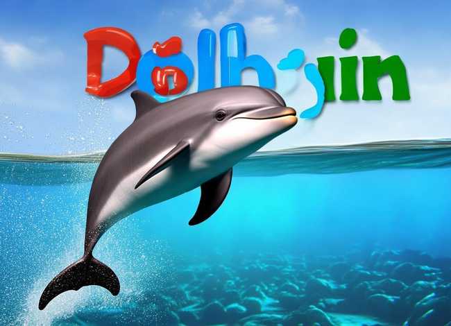 海豚儿童英语app，海豚的英文怎么拼