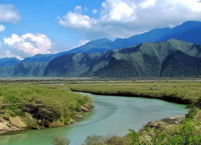 滴水穿石的故事100字，滴水穿石的事例,多一些