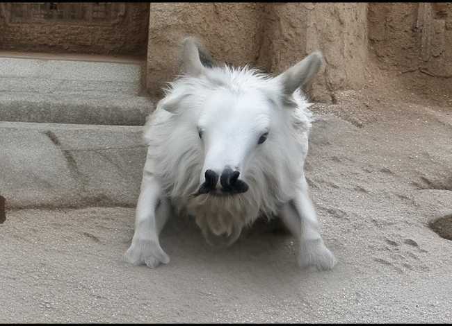 荡秋千幼儿故事，小猴,小熊,树干,秋千,编一个童话故事650字