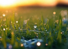 一滴小水珠的故事，小水滴的奇遇记作文