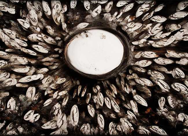 生命的故事书籍 - 幼儿园中班的孩子适合看什么类型的书呢大家有哪些推荐呢