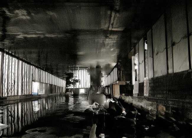 十二生肖 故事 - 十二生肖的童话故事100字 十二生肖 故事 - 十二生肖的童话故事100字