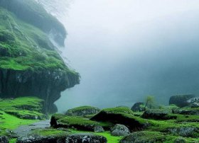 许愿树的寓意和象征；佛堂可以放许愿树吗