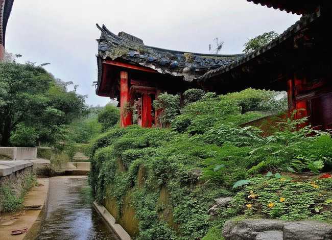 战乱中儿童的苦难故事和照片 - 《一张旧照片》作文结尾50字