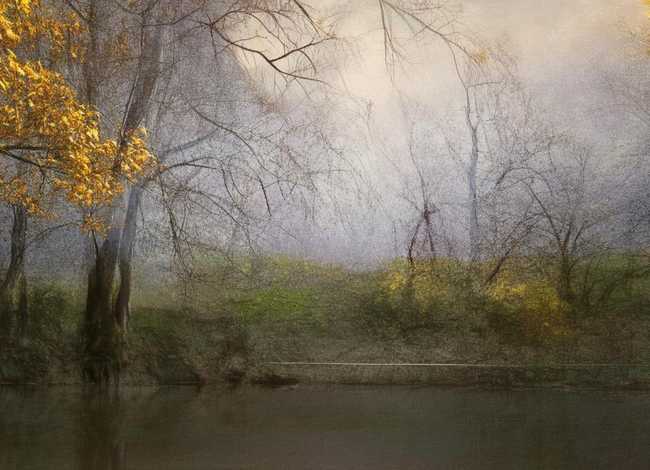 许愿树的寓意和象征；佛堂可以放许愿树吗