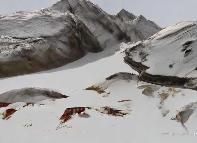 袋鼠的故事儿童睡前故事（勇敢和聪明短篇儿童睡前故事）