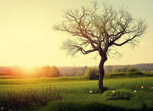 一暴十寒哪个字错了；下列与“一曝十寒”所体现的哲学道理相一致的是( )