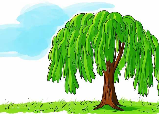 柳树的儿童画 儿童画柳树的简单方法 柳树的儿童画 儿童画柳树的简单方法