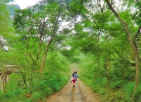 牵牛星和织女星的故事，牛郎和织女的故事简短20字