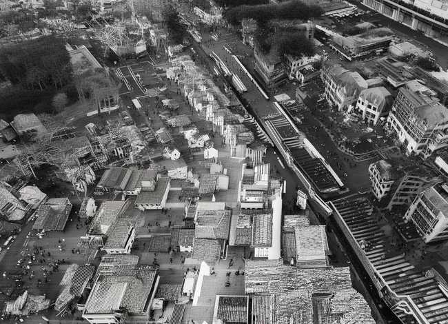 地震的故事绘本，一千把大提琴合奏读后感450字