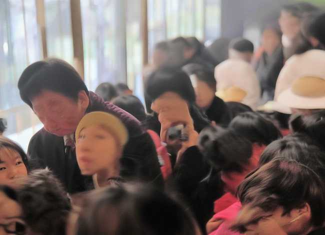 屈原的故事100字；关于屈原投江的故事(100字)