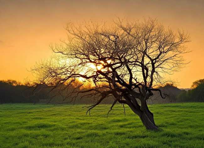 一暴十寒哪个字错了；下列与“一曝十寒”所体现的哲学道理相一致的是( )