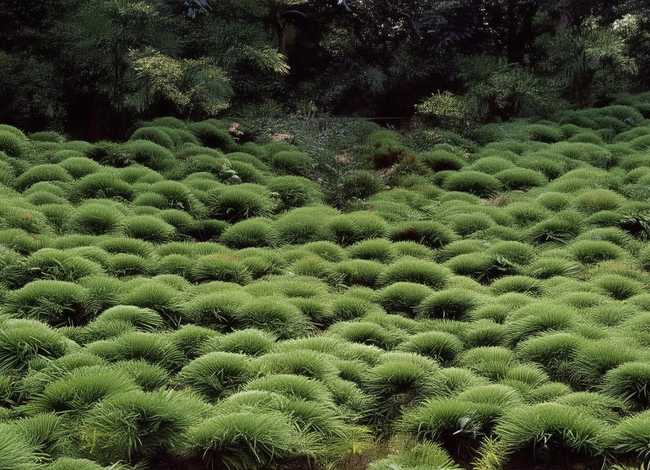 儿童睡前故事在线收听26个故事 免费3—6岁儿童睡前故事(十篇)