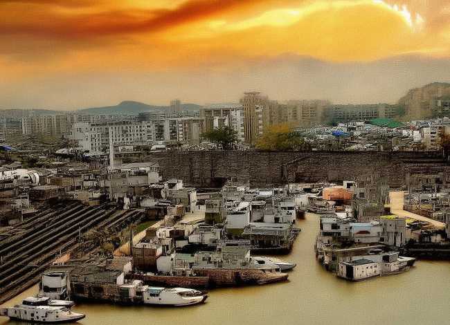 五指山茶是什么茶 绿茶的功效与作用和禁忌 五指山茶是什么茶 绿茶的功效与作用和禁忌