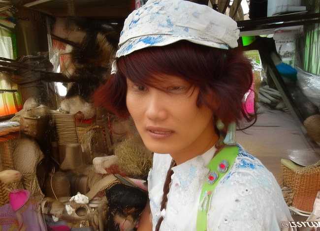 关于老树的故事 - 小学语文评课标准有哪些