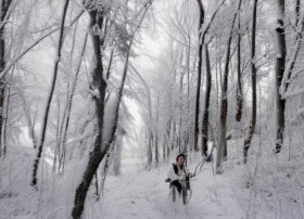 屈原的故事20个字、屈原投江的故事概括