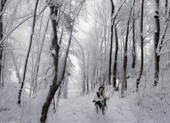 屈原的故事20个字、屈原投江的故事概括 屈原的故事20个字、屈原投江的故事概括