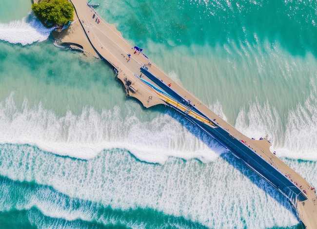 小弟和小猫内容,柯岩文集·第5卷-诗歌目录 小弟和小猫内容,柯岩文集·第5卷-诗歌目录