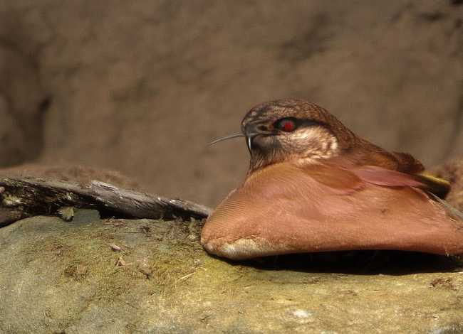 编一个故事200字，关于西游记中的一个人物,编一个故事(不少于200字)