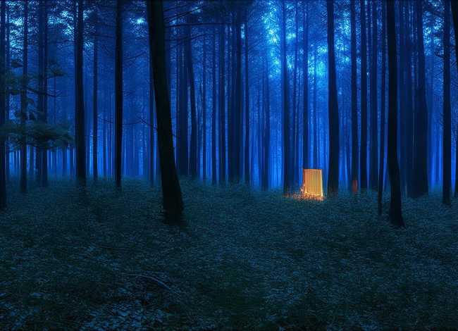 短篇小故事绘本 - 《萤火虫找朋友》儿童绘本故事分享