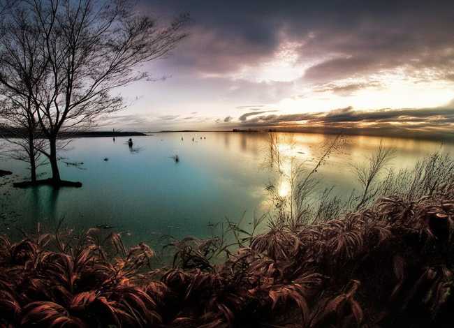 冬天的故事 儿歌 新疆的冬天作文100字左右