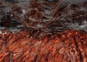 绘本兔儿爷的故事内容 - 中国的绘本大师有哪些呢他们的哪些绘本口碑好呢