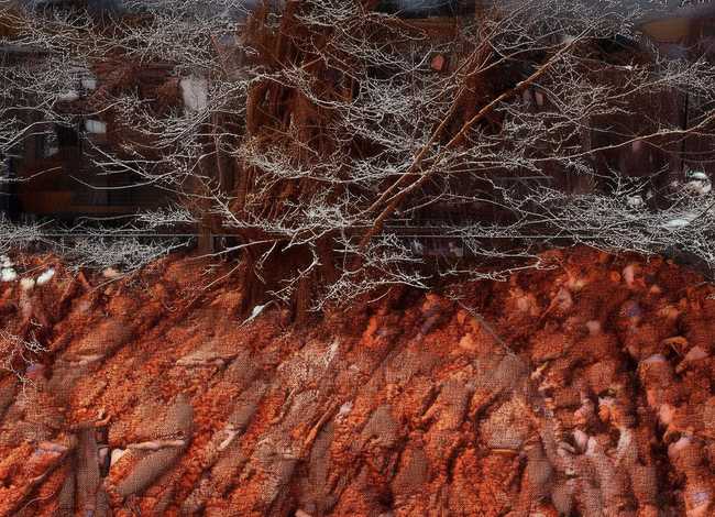 绘本兔儿爷的故事内容 - 中国的绘本大师有哪些呢他们的哪些绘本口碑好呢