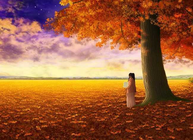 秋思的资料 秋思这首诗写的感受