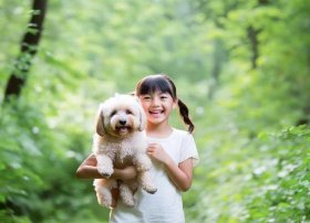 小尾巴的故事作文600字、小学作文-我的“小尾巴”