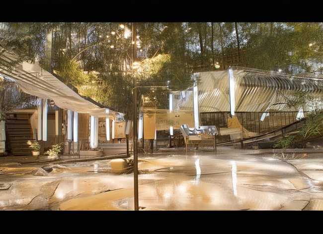 草木皆兵的故事60字 - 草木皆兵的故事,50字急急