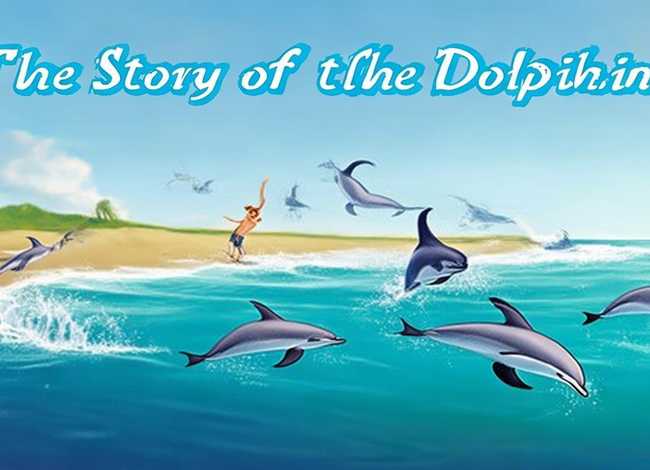 儿童故事海豚的故事 - 海豚的故事剧情简介 儿童故事海豚的故事 - 海豚的故事剧情简介