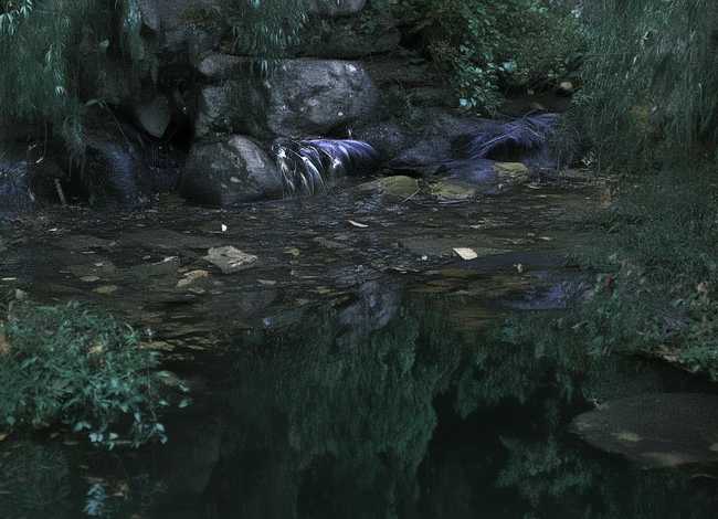 报效祖国的故事 要3个“中华儿女报效祖国,为国争光的故事”短一点的(20个字左右)