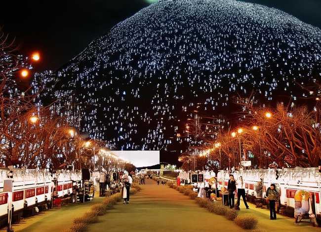 鸵鸟的故事告诉我们 - 山中驼鸟读后感200字