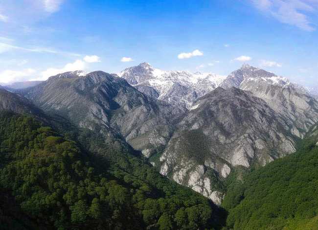 感人的儿童绘本故事图文、绘本故事《爱心树》 感人的儿童绘本故事图文、绘本故事《爱心树》