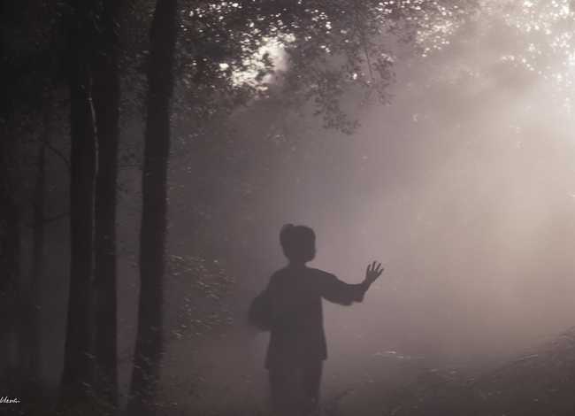 捕风捉影的意思 捕风捉影的意思 捕风捉影的意思 捕风捉影的意思