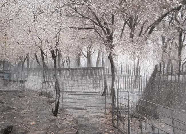 关于年兽的故事;年兽的故事,要100字以内的 关于年兽的故事;年兽的故事,要100字以内的