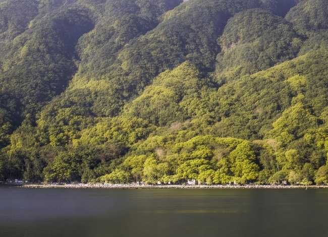 六一儿童节的故事100字(献给六一儿童节的小故事(5篇)) 六一儿童节的故事100字(献给六一儿童节的小故事(5篇))