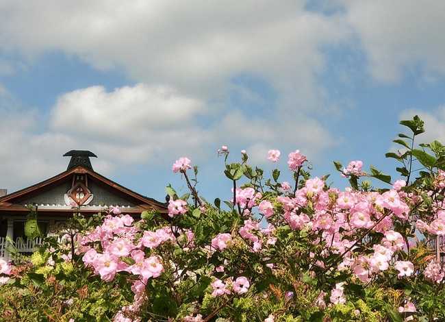 屈原的故事100字；关于屈原投江的故事(100字)