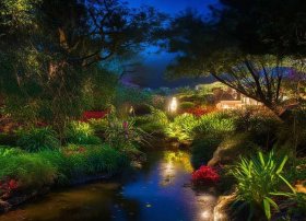 儿童故事美丽的牵牛花（睡前故事《美丽的牵牛花》）