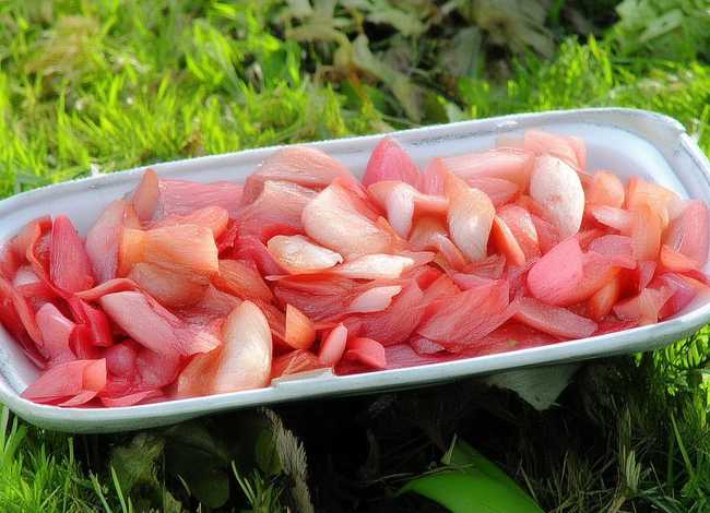 20个诚信小故事简短(10个诚信小故事简短20字现代) 20个诚信小故事简短(10个诚信小故事简短20字现代)