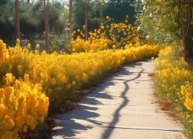 儿童哲理故事带拼音大全集 - 铺满金色巴掌的水泥道带拼音课文