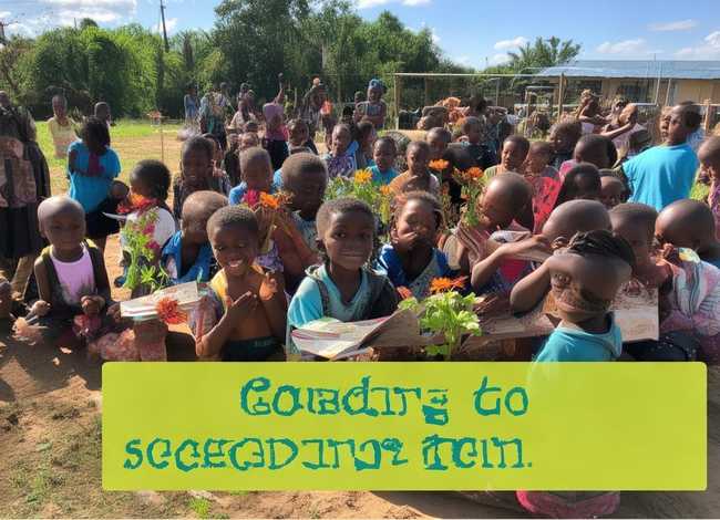 留守儿童六一活动简报，学校开展护苗行动工作总结