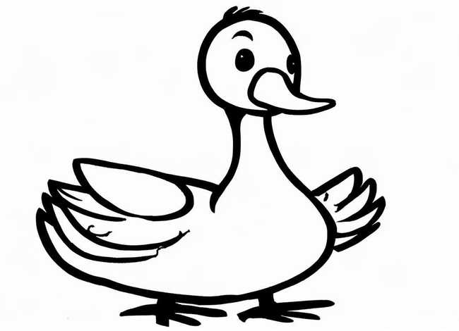 黑白儿童画图片大全 - 黑白卡通小鸭子简笔画画法图片步骤