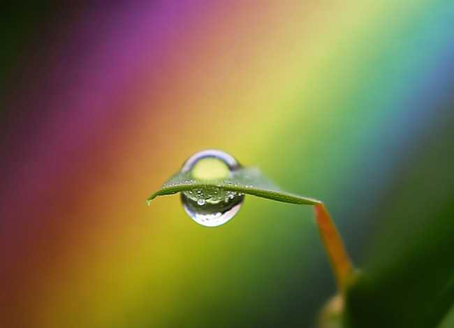 小水珠的故事短文(谈谈你对短文(水珠的故事)最后一句话的理解) 小水珠的故事短文(谈谈你对短文(水珠的故事)最后一句话的理解)